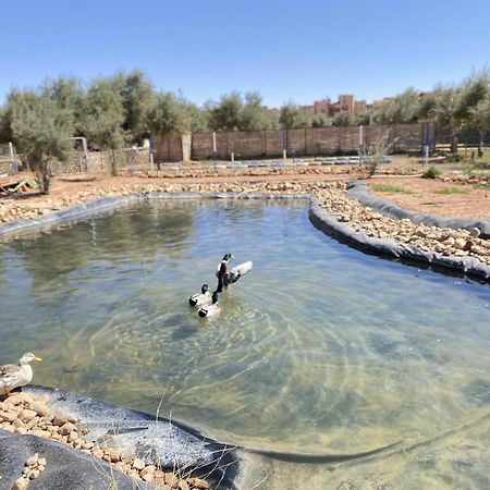 Ighiz Inn Resort Errachidia Εξωτερικό φωτογραφία