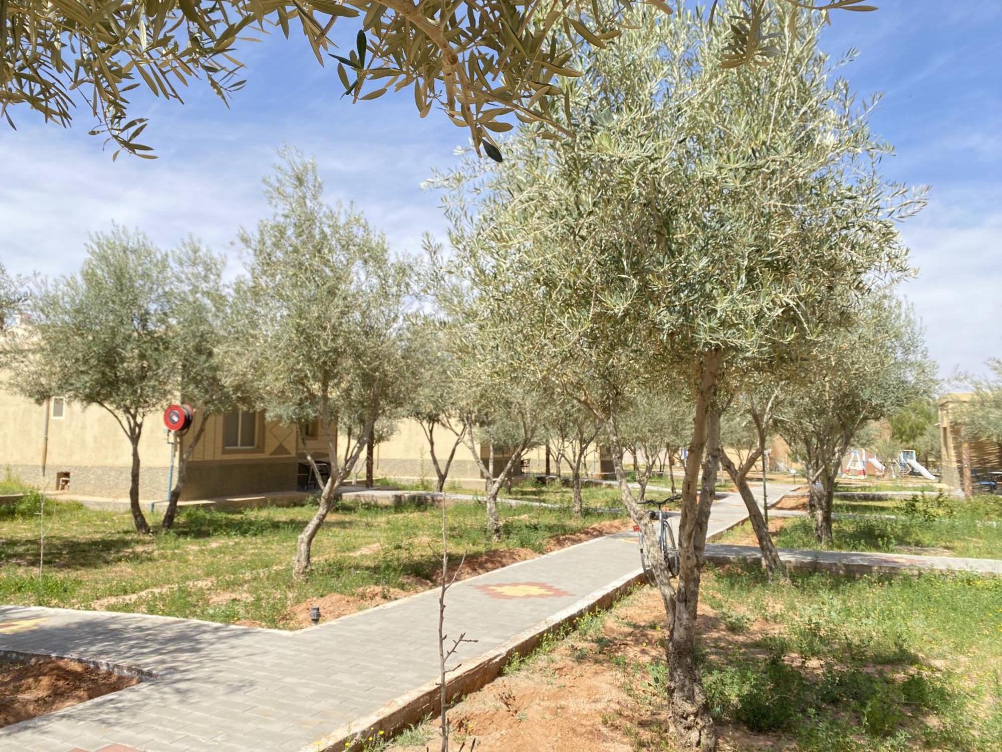 Ighiz Inn Resort Errachidia Εξωτερικό φωτογραφία